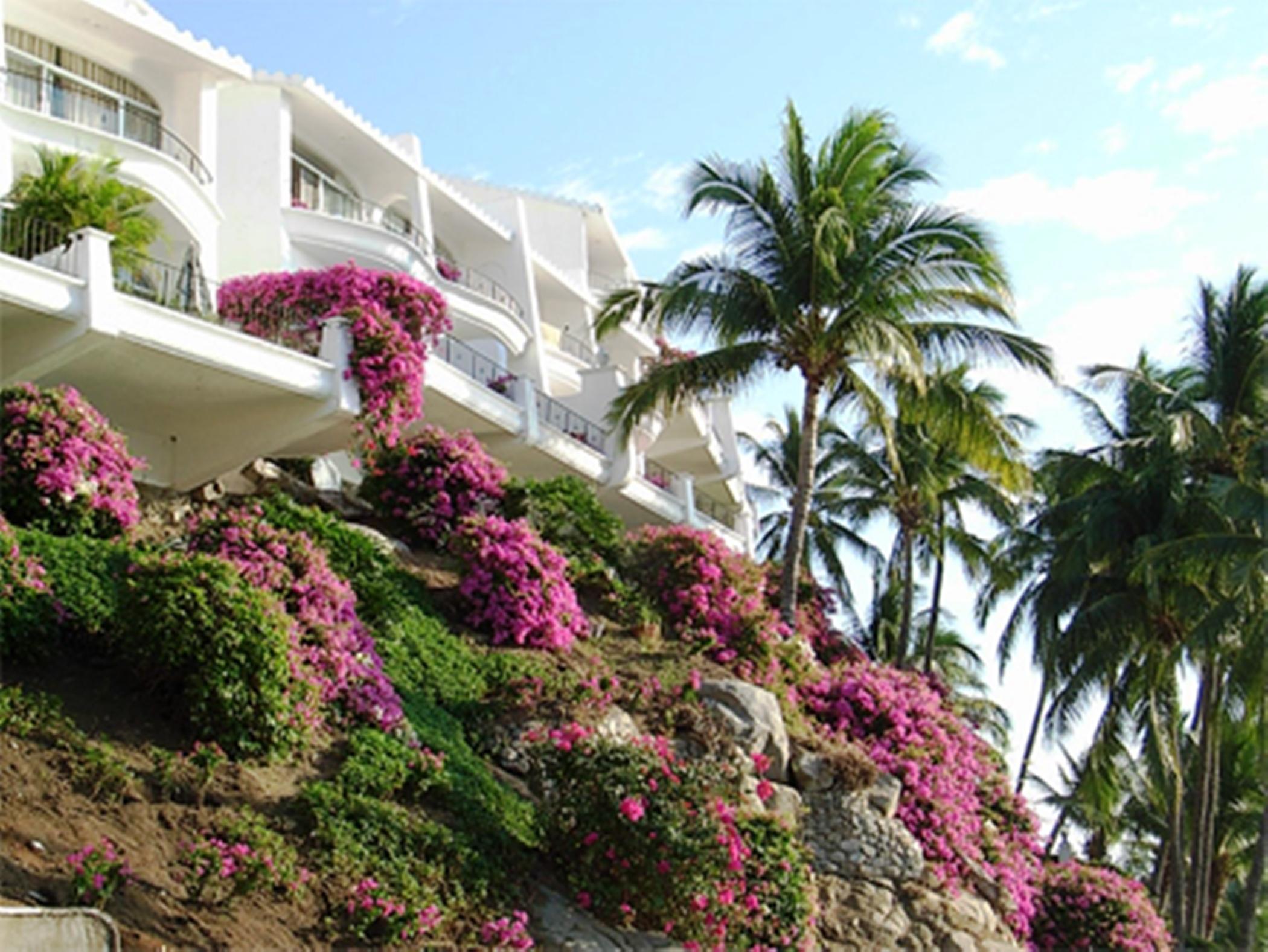 Dolphin Cove Inn Manzanillo Exterior foto